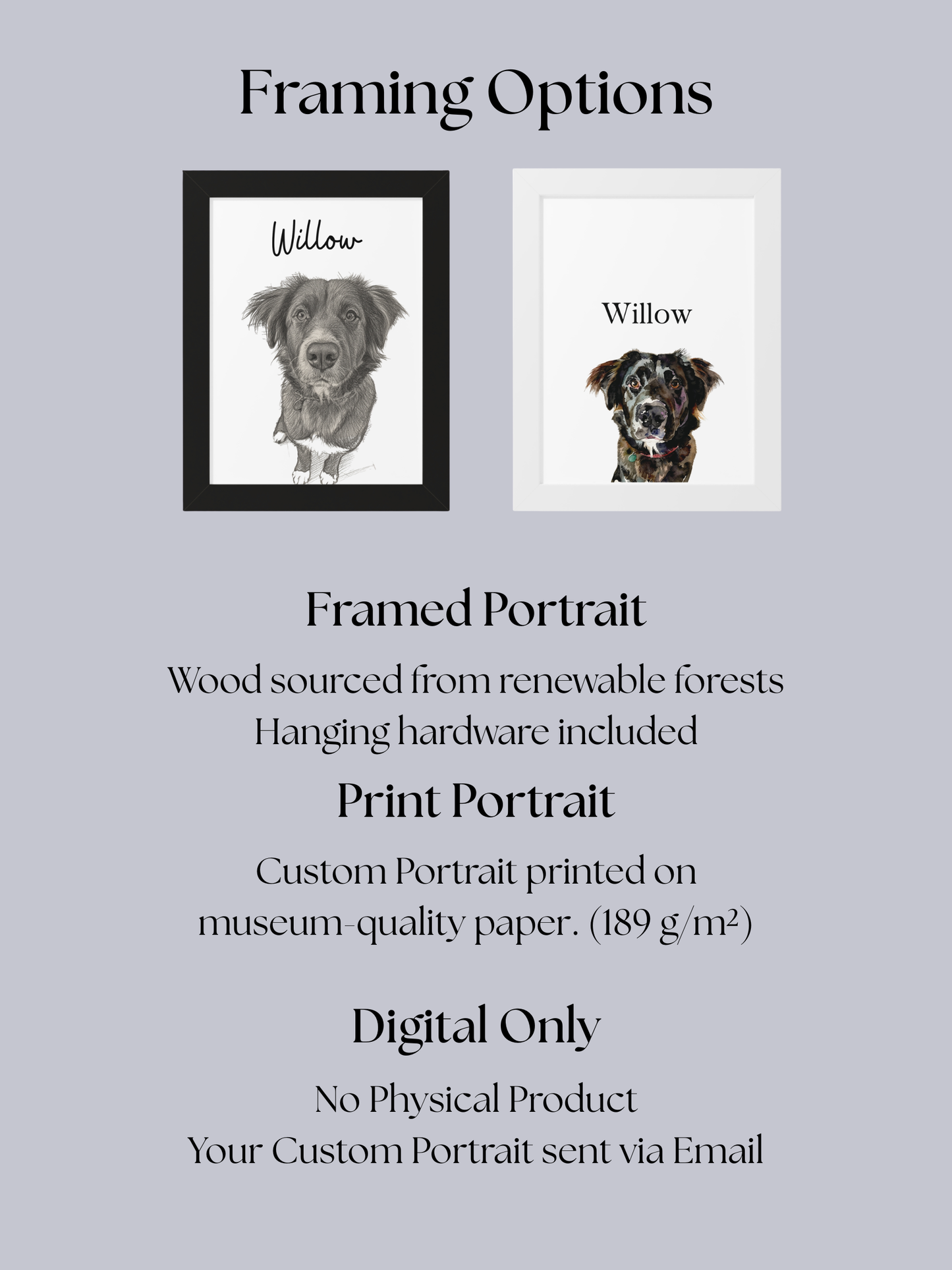 Custom Pet Portrait - Pet Photo + Name